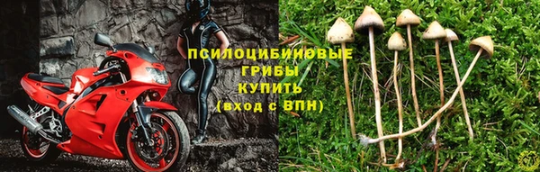 экстази Нея