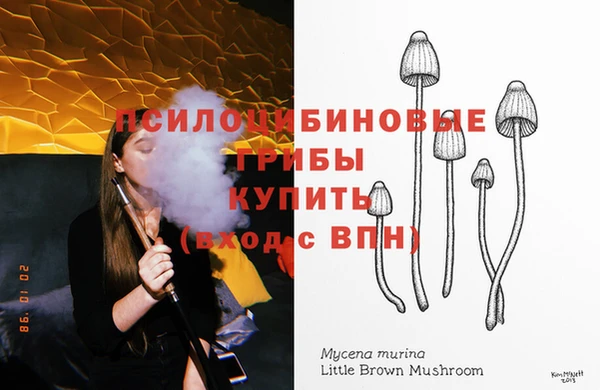 PSILOCYBIN Нефтекумск