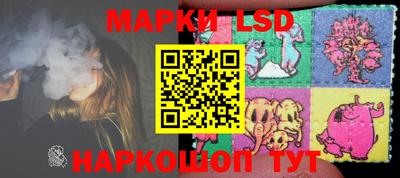 МДПВ Донецк