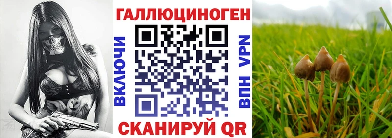 Псилоцибиновые грибы Magic Shrooms  Кизляр 