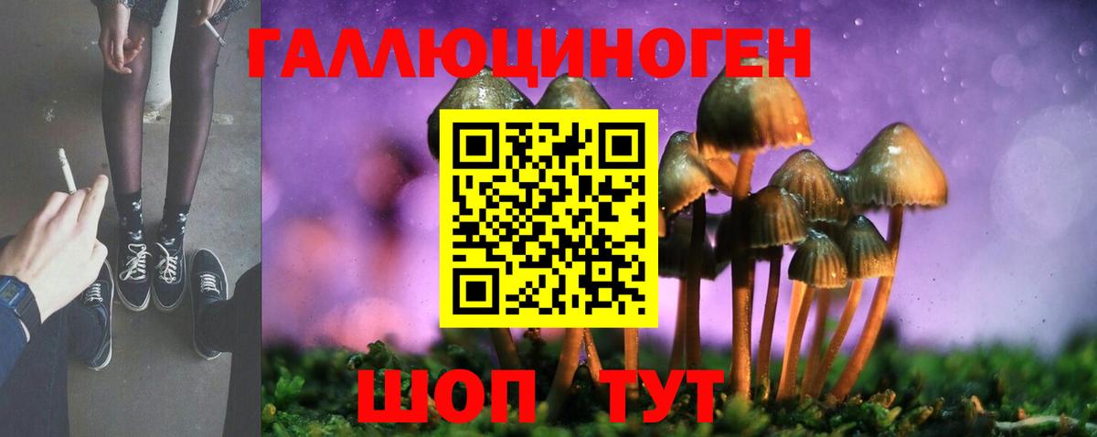 Кизляр  цены наркотик  Вход с VPN  Галлюциногенные грибы Psilocybine cubensis 